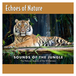 街头钞能力无删减版双胞胎
