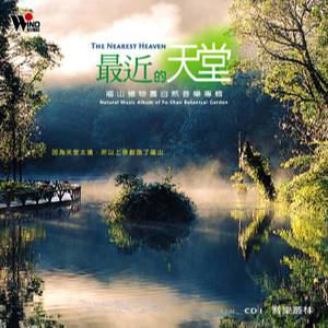 街头钞能力无删减版双胞胎
